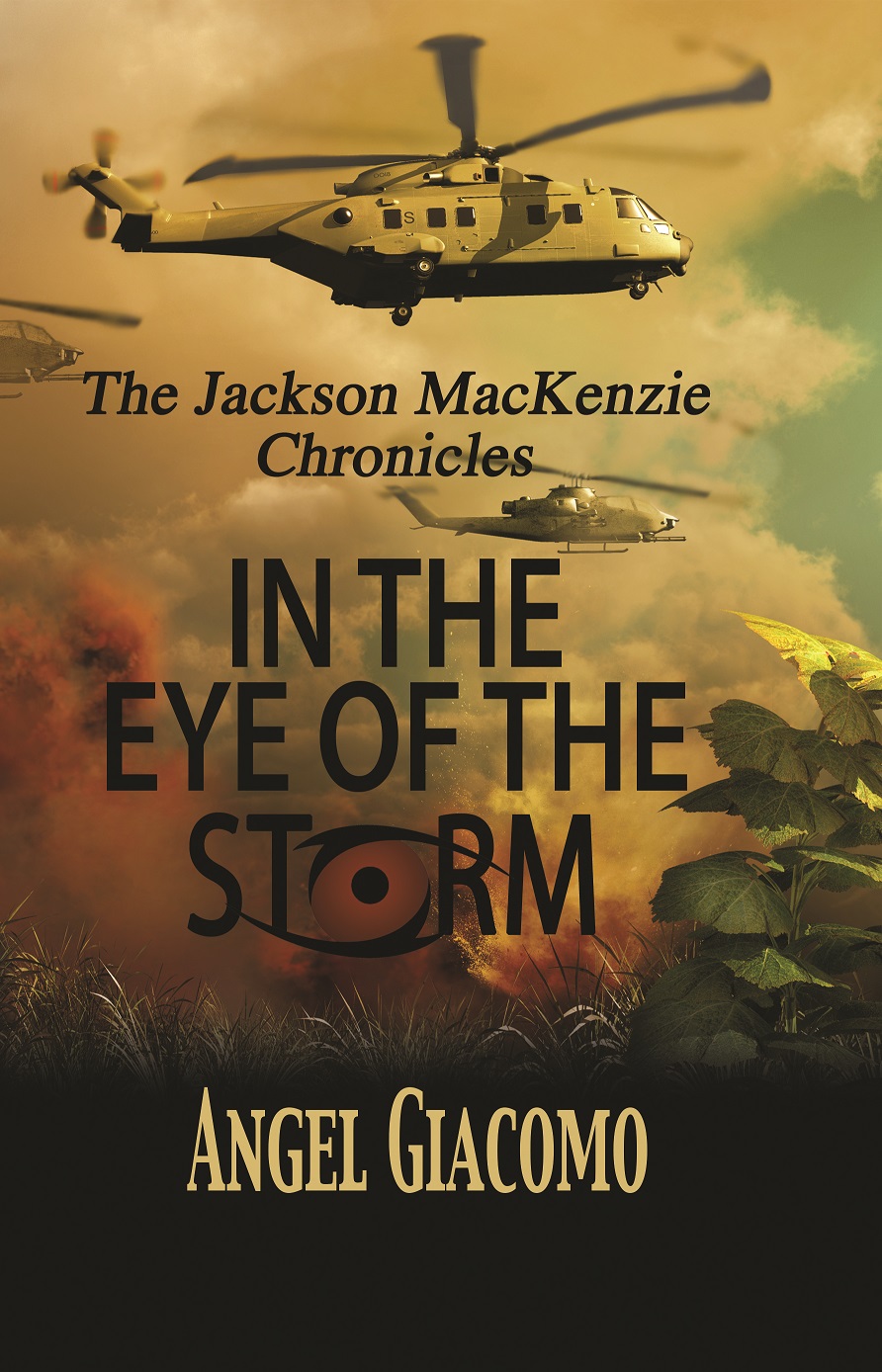 The Jackson MacKenzie Chronicles In the Eye of the Storm by Angel Giacomo