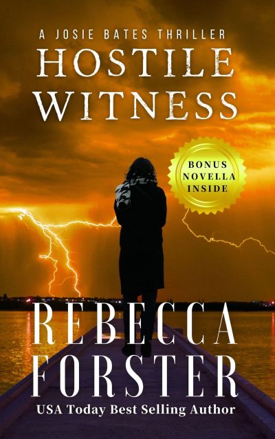 Hostile Witness by Rebecca Forster