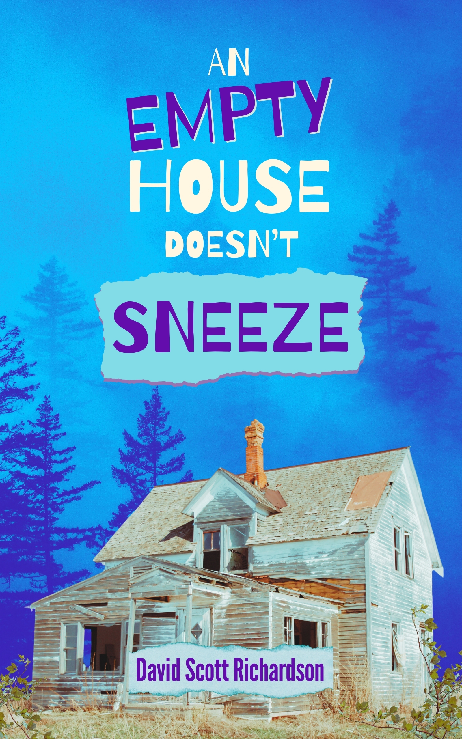 An Empty House Doesn’t Sneeze by David Scott Richardson